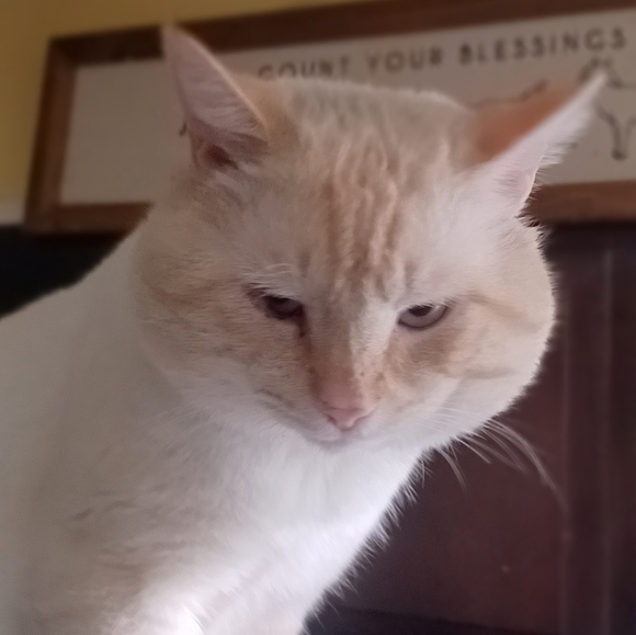 Meet your Posher, Mary - Picture 8 of 16